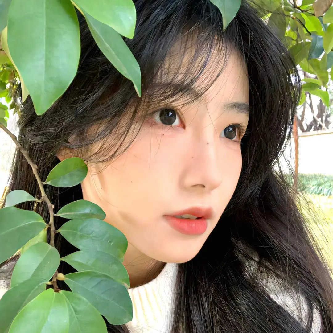 没有家的母亲